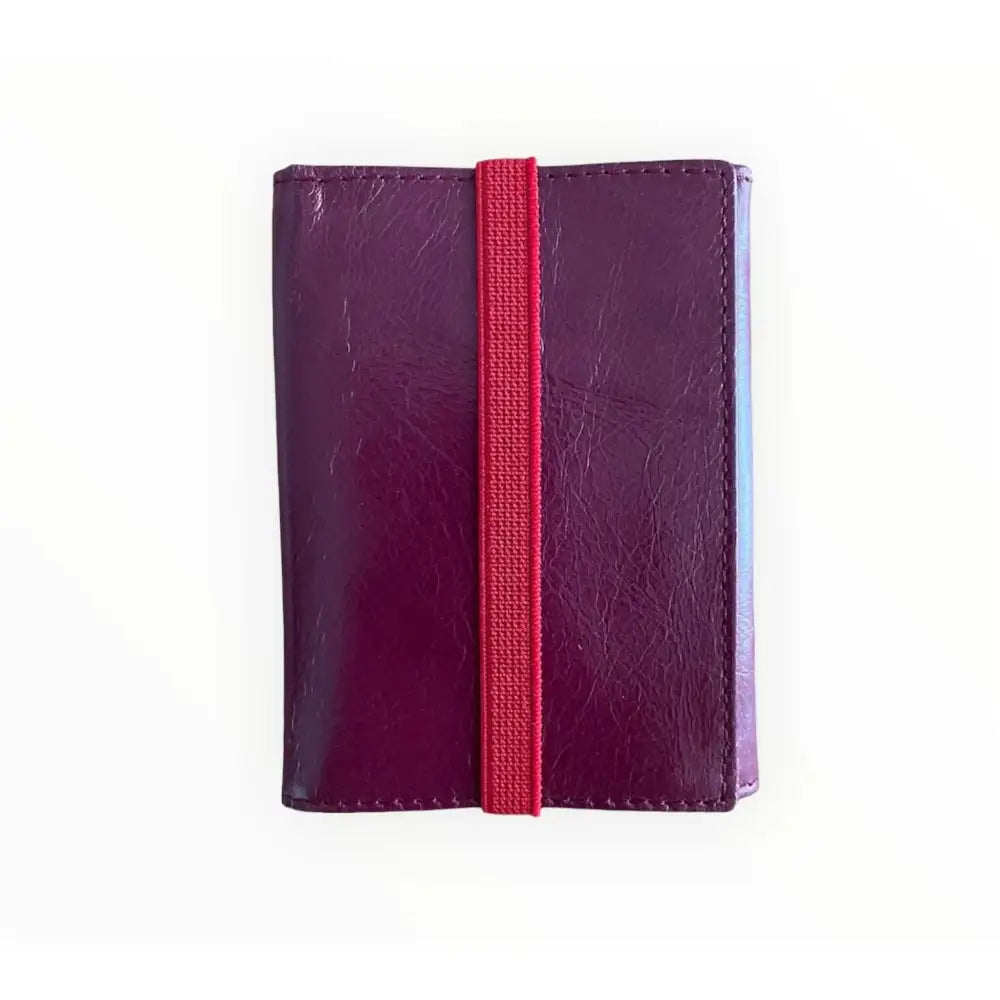 Small iris folding wallet, Icon Piamonte 950.