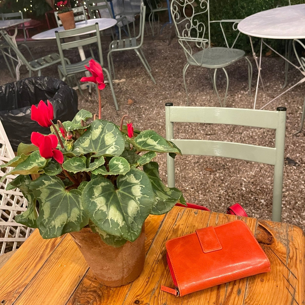 Cartera Mujer con monedero 117