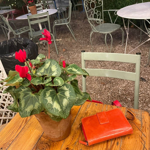 Cartera Mujer con monedero 117