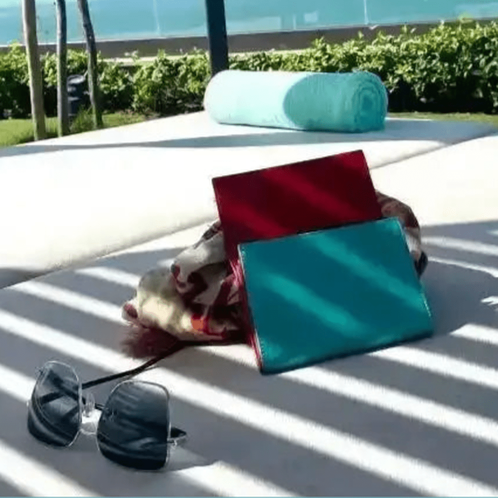 Cartera con monedero 607 medium- 11 tonos